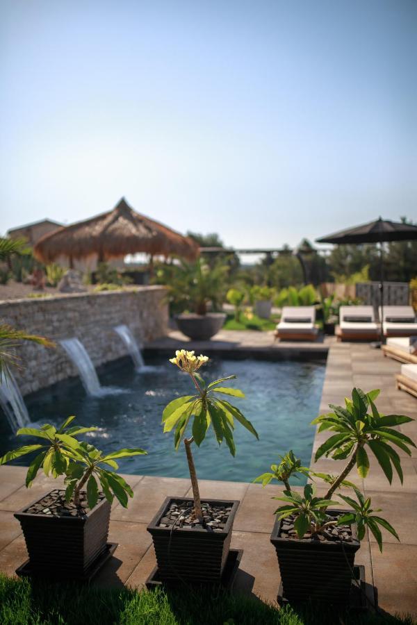 Villa Merapi Sveti Lovreč Pazenatički エクステリア 写真