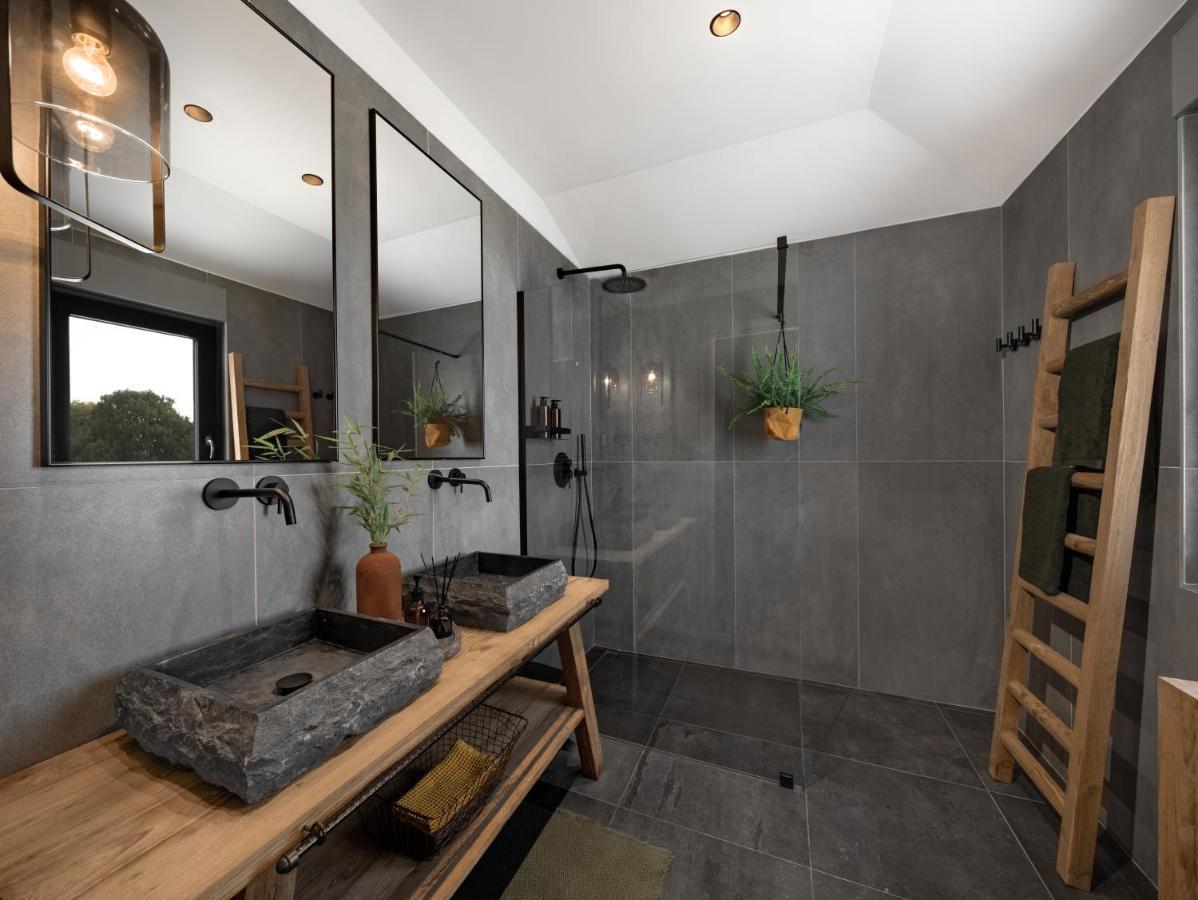 Villa Merapi Sveti Lovreč Pazenatički エクステリア 写真