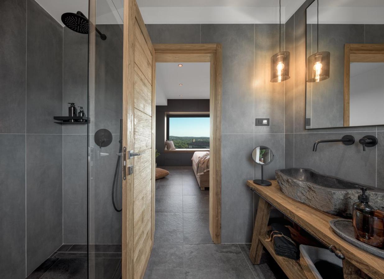 Villa Merapi Sveti Lovreč Pazenatički エクステリア 写真